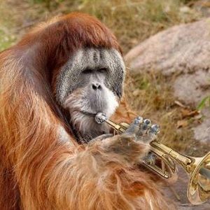 Meet your Posher, Peter